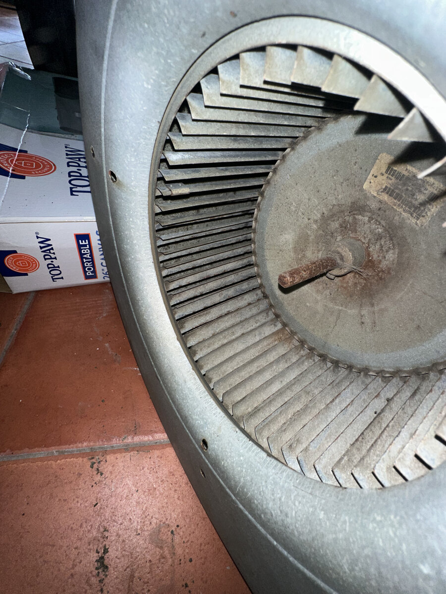 After mold remediation